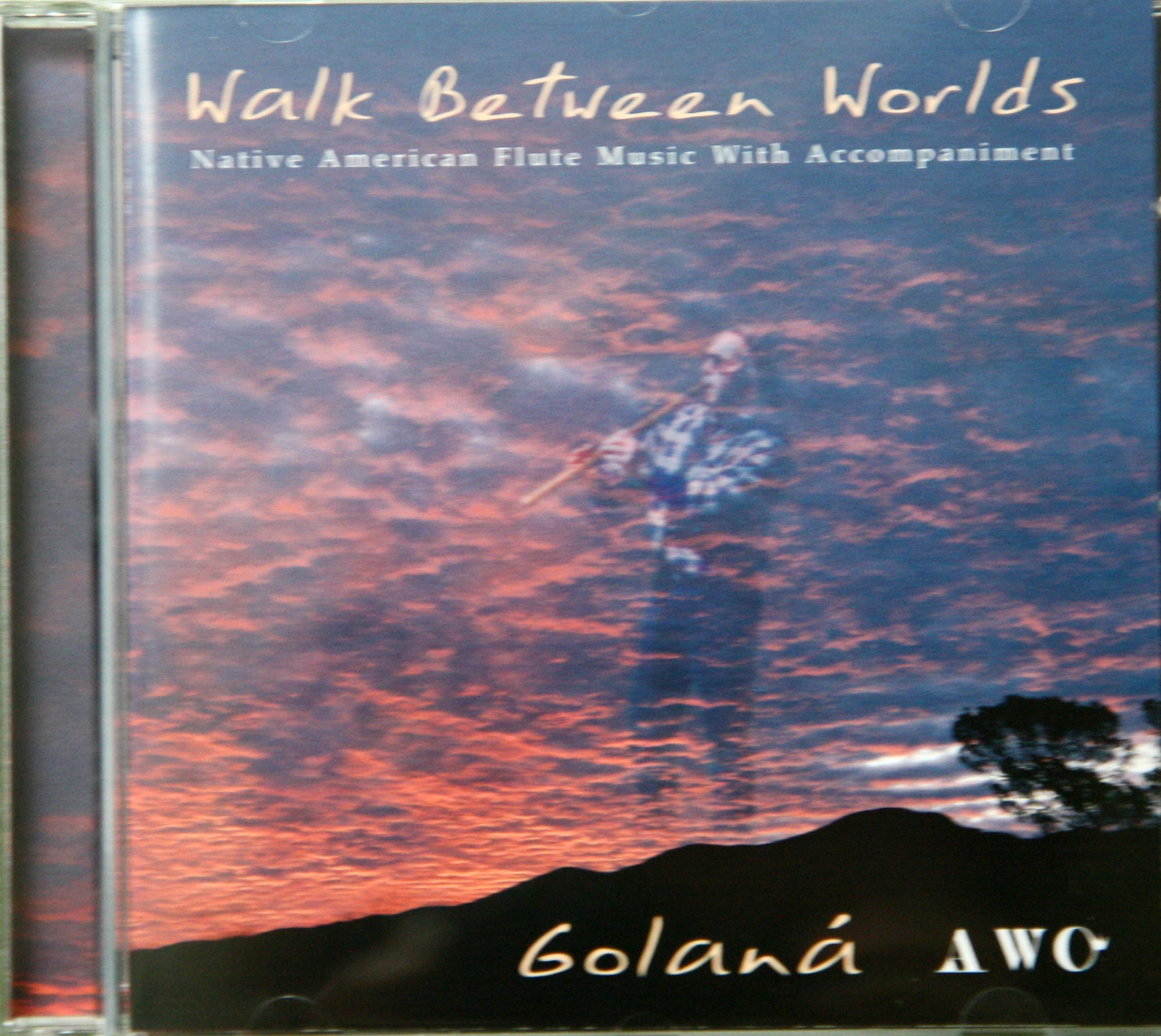 walk between worlds